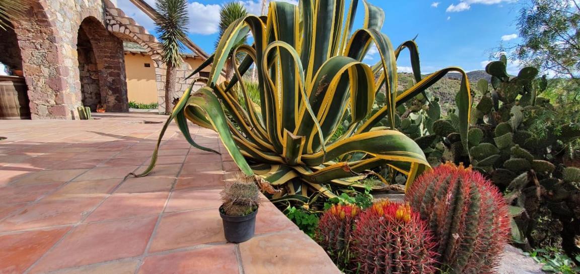 Hotel Rincon Magico Catorce Exterior photo
